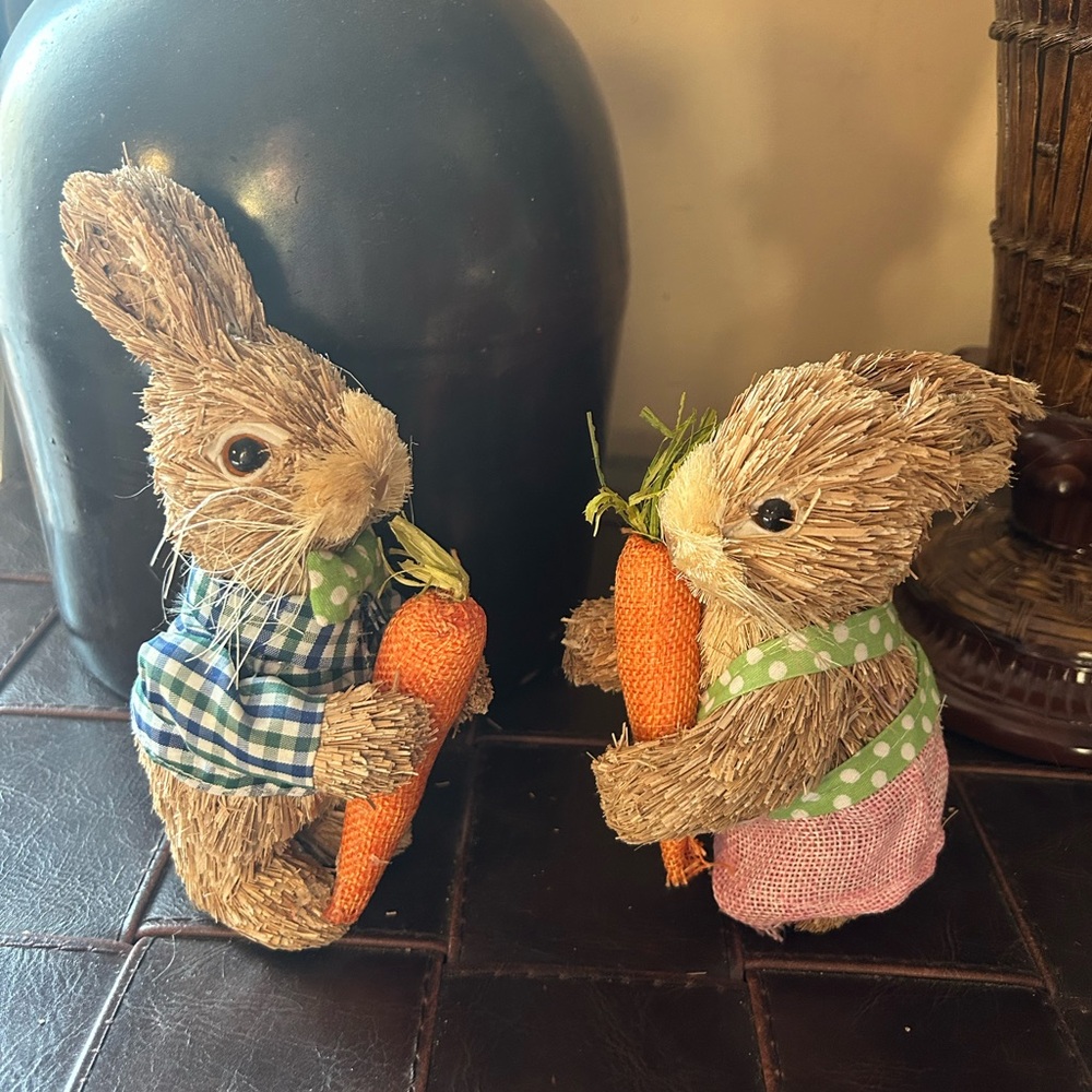 Charming Bunny Duo with Carrots